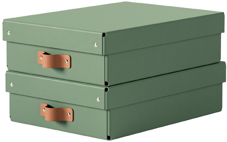 2 LEITZ Puro Aufbewahrungsboxen 8,0 l grün 27,0 x 37,0 x 10,0 cm