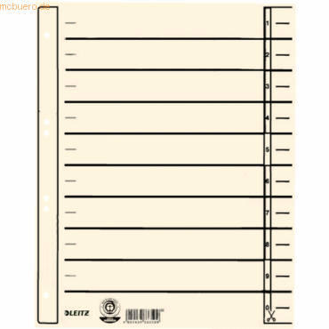 100 x Leitz Trennblatt A4 200g Karton chamois