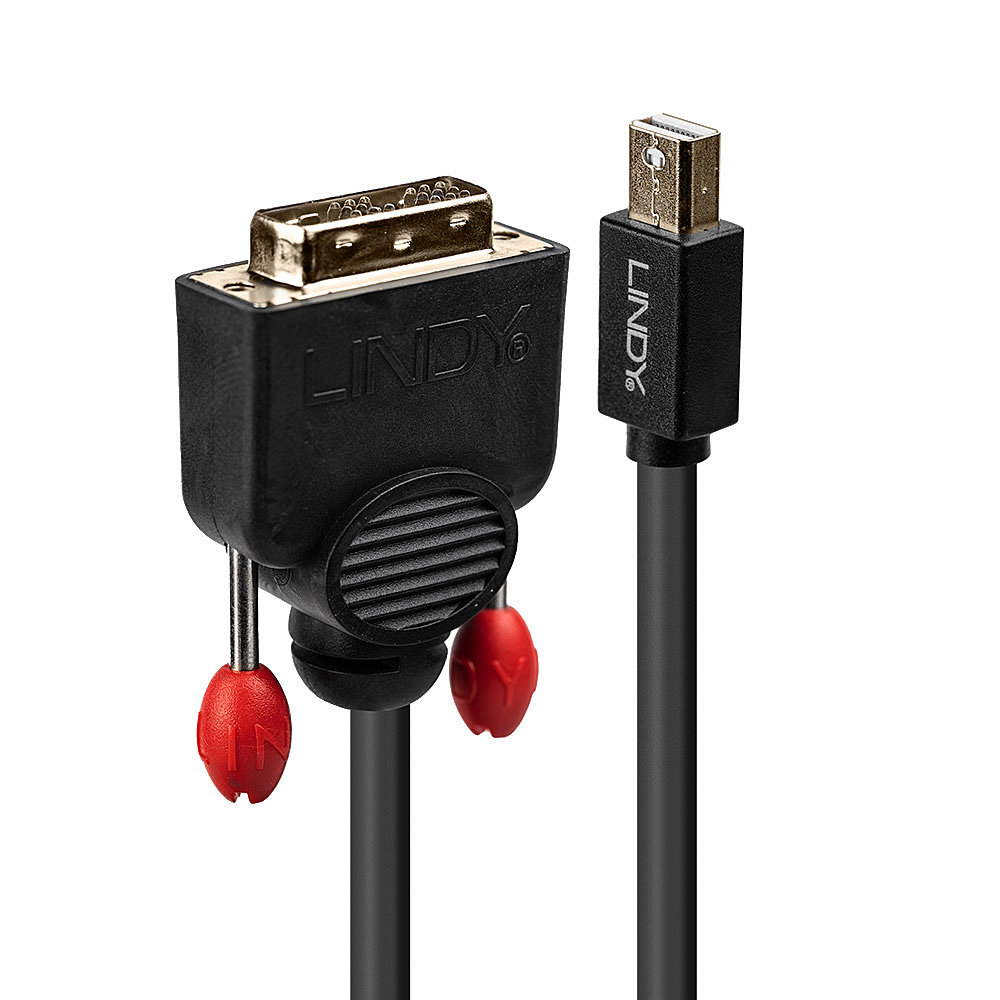Lindy - DisplayPort-Kabel - Mini DisplayPort (M) bis DVI-D (M) - 1,0m - Daumenschrauben - Schwarz (41951)