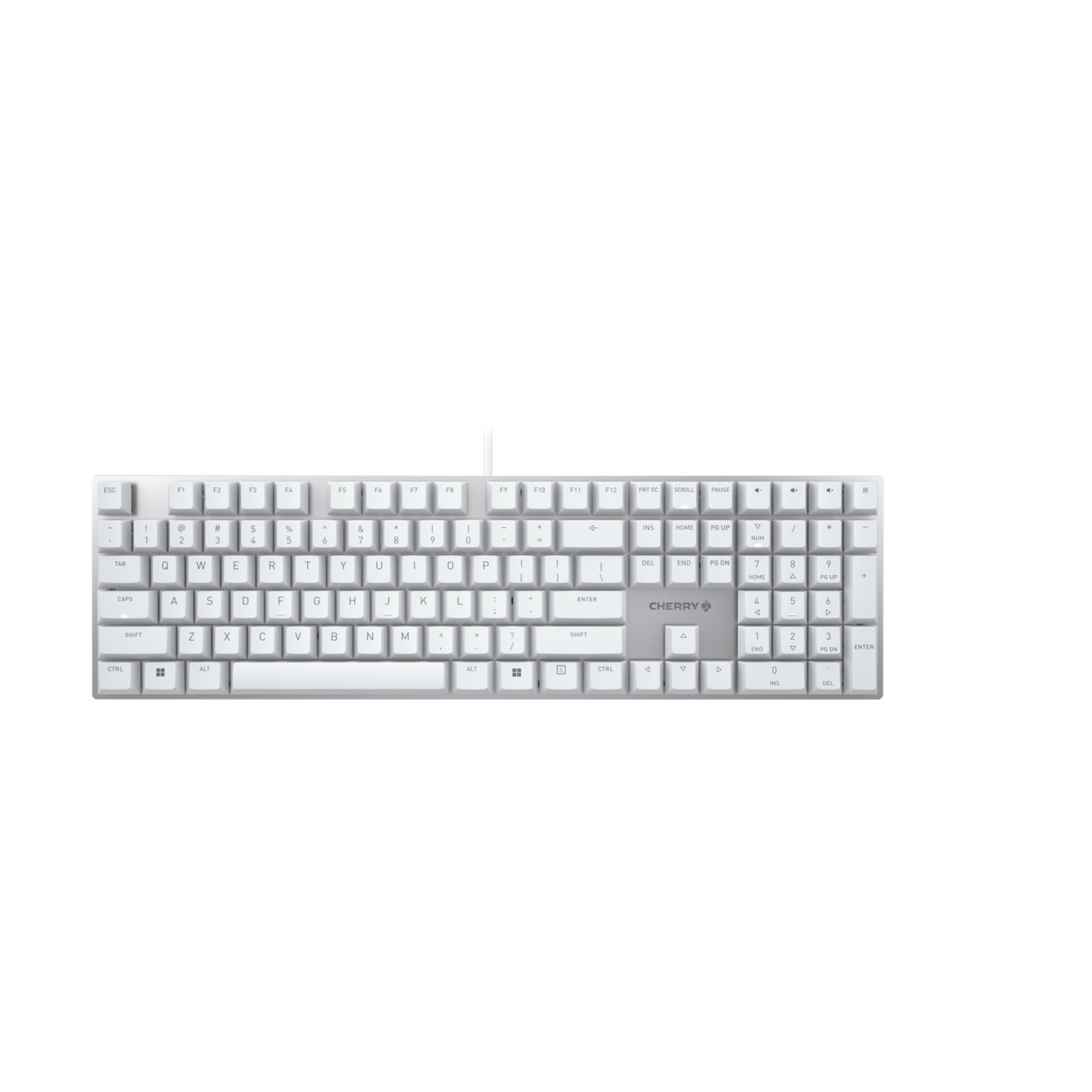 CHERRY KC 200 MX CORDED KBD MECHANICAL MX BROWN US WHITE (G80-3950LIBUS-1)