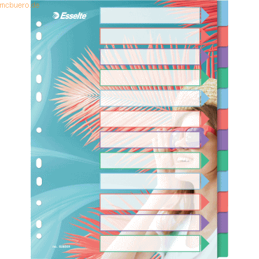 10 x Esselte Register Colour'Breeze A4 PP blanko 12-teilig transparent
