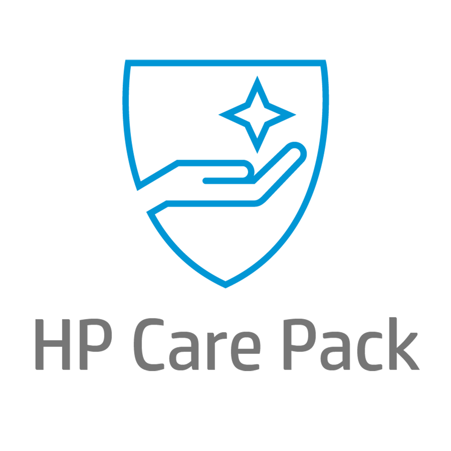 HP eCare Pack Travel NBD | ADP | DMR  | 1 Jahr