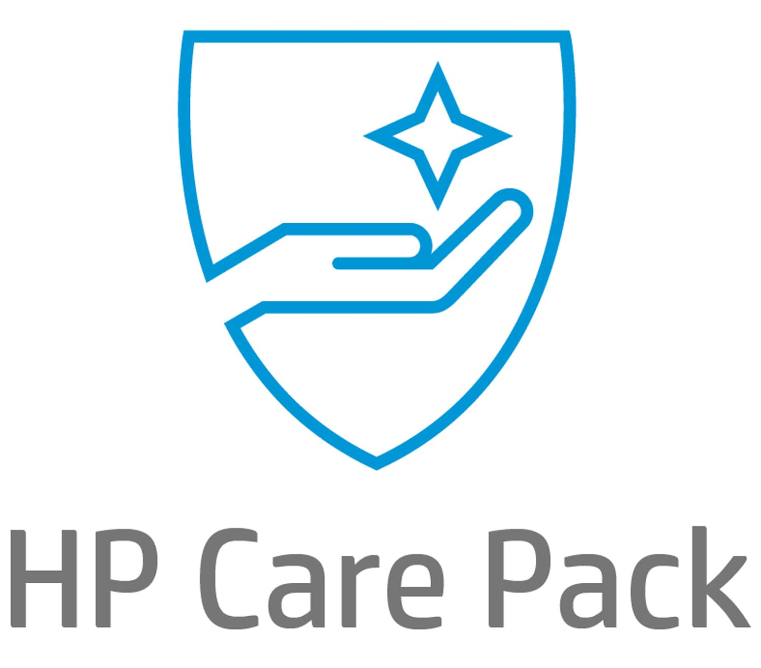 HP eCare Pack Vor-Ort | NBD | 3 Jahre