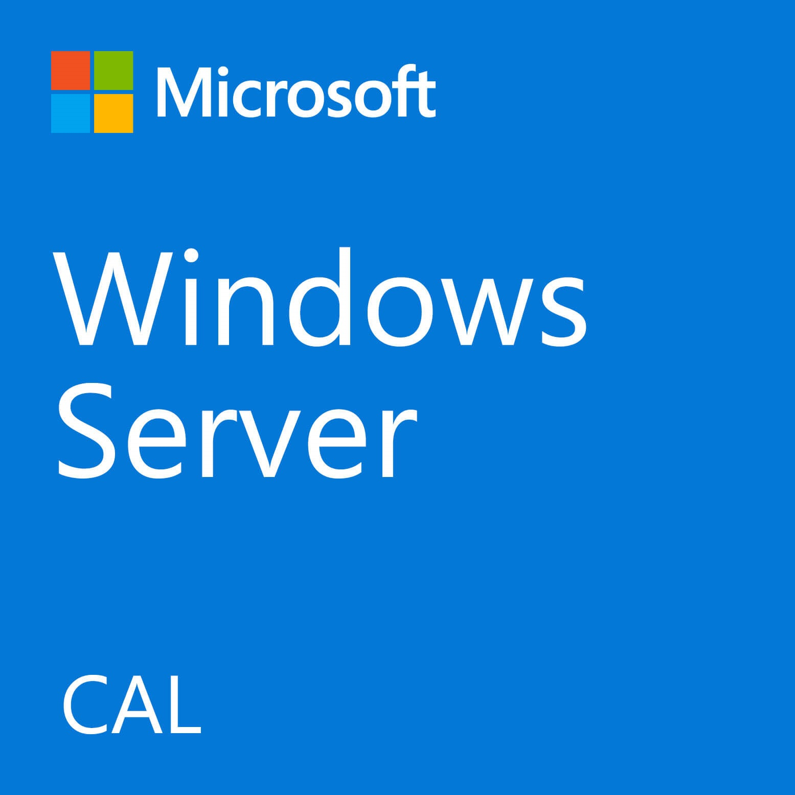 Fujitsu Microsoft Windows Server 2022 1 Benutzer CAL
