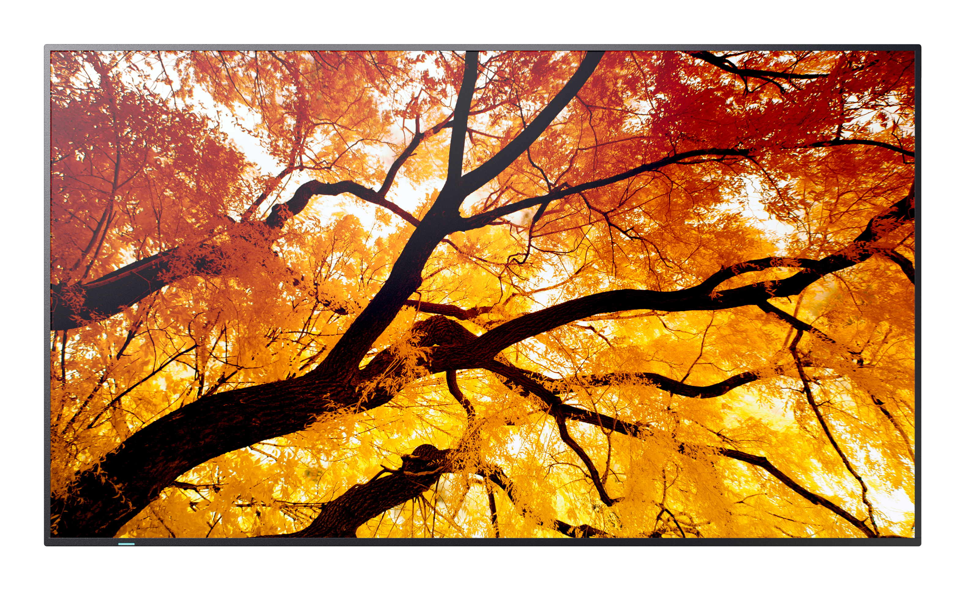 Sharp MultiSync M982 Digital Signage Display 247,7 cm 98 Zoll