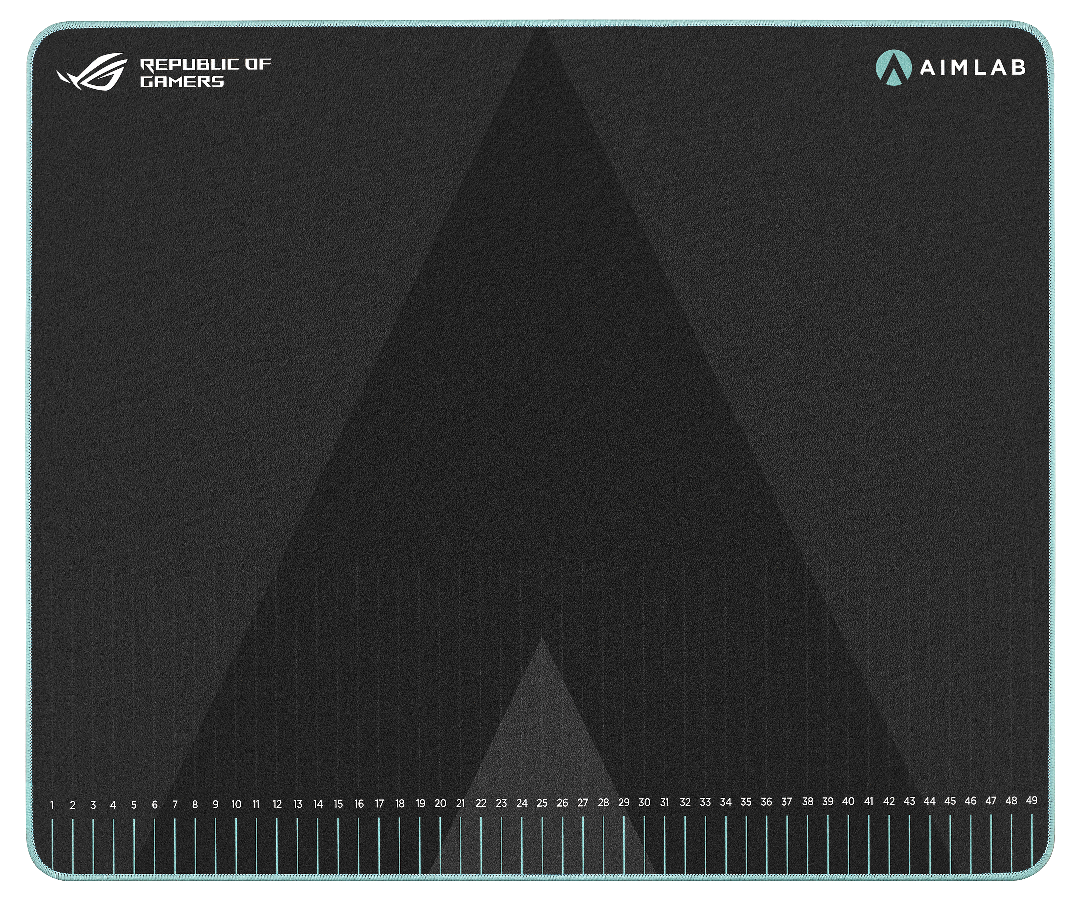 ASUS ROG Hone Ace Aim Lab Edition Gaming-Mauspad Schwarz (90MP0380-BPUA00)