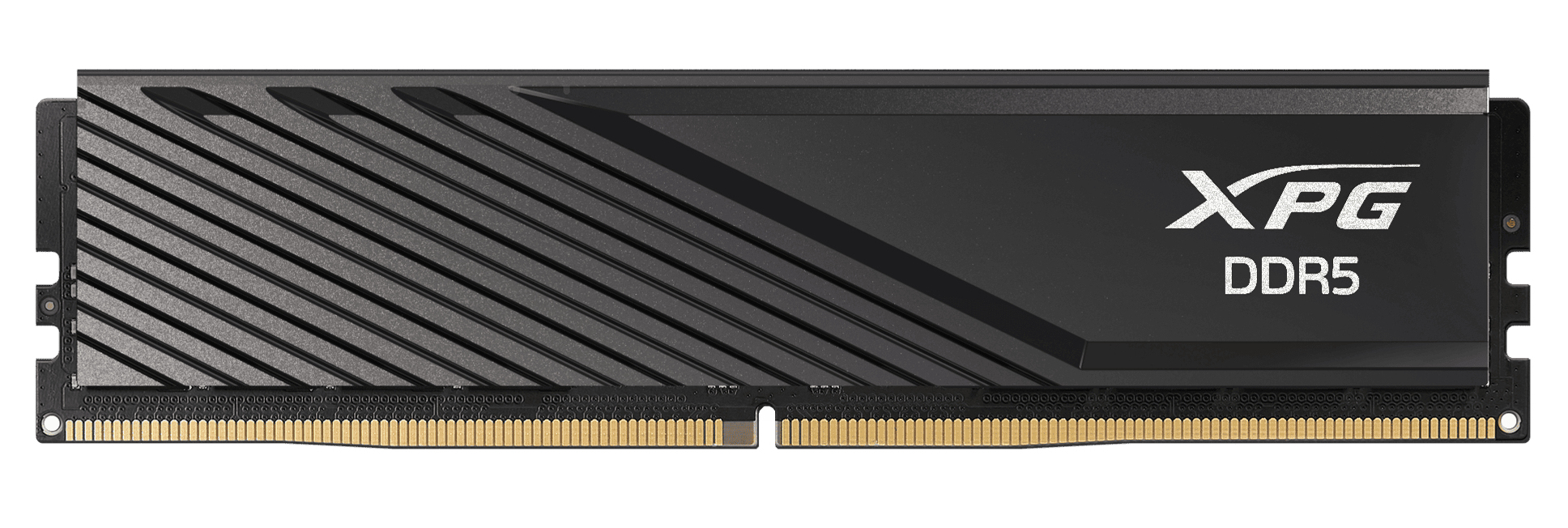 ADATA 64GB DIMM 6000 (2x 32 GB) Dual-Kit (schwarz, AX5U6000C3032G-DTLABBK, Lancer Blade, INTEL XMP, AMD EXPO) (AX5U6000C3032G-DTLABBK)