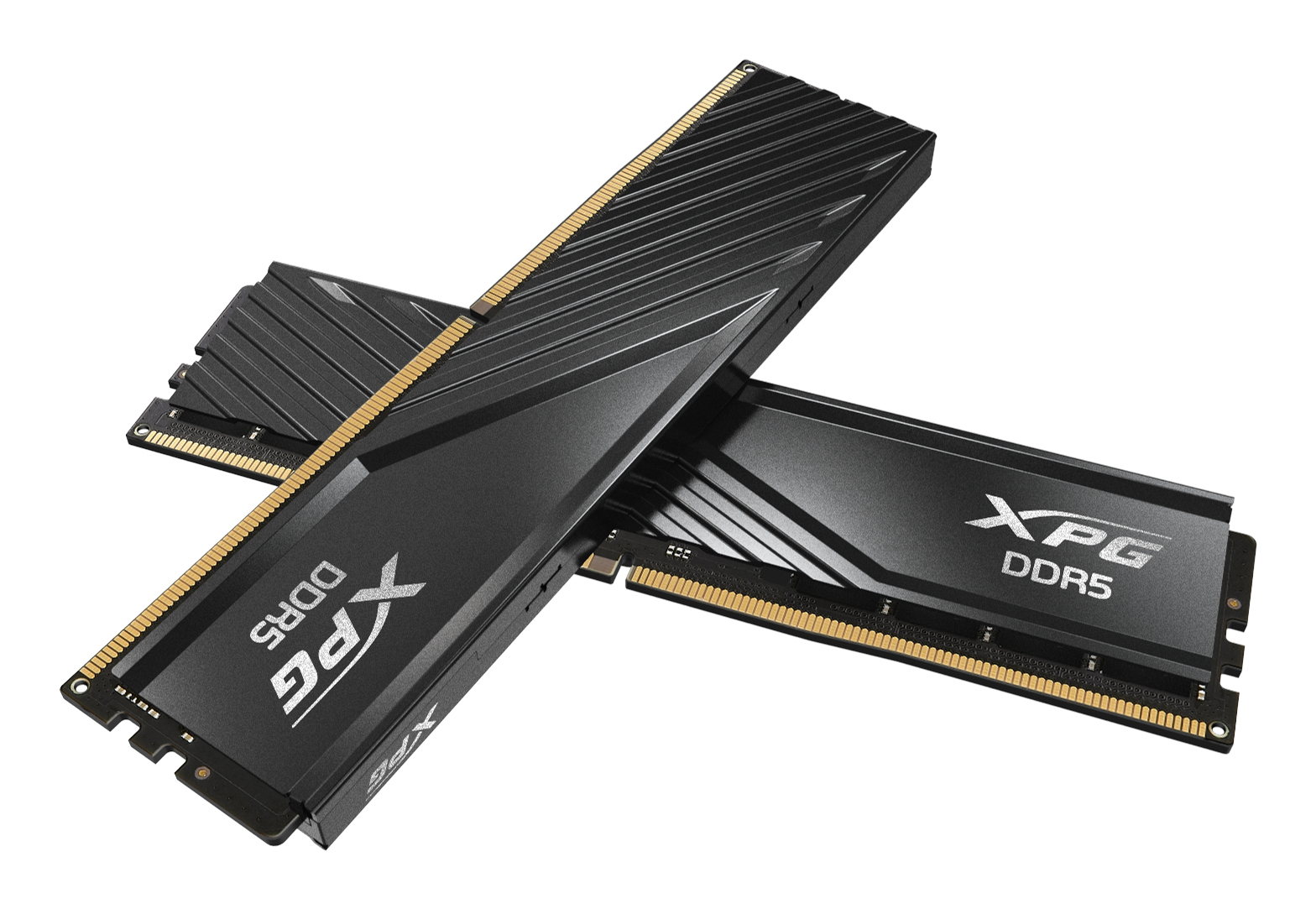 ADATA DIMM DDR5-6000 Dual-Kit schwarz AX5U6000C4816G-DTLABBK XPG - 32 GB - DDR5 (AX5U6000C4816G-DTLABBK)