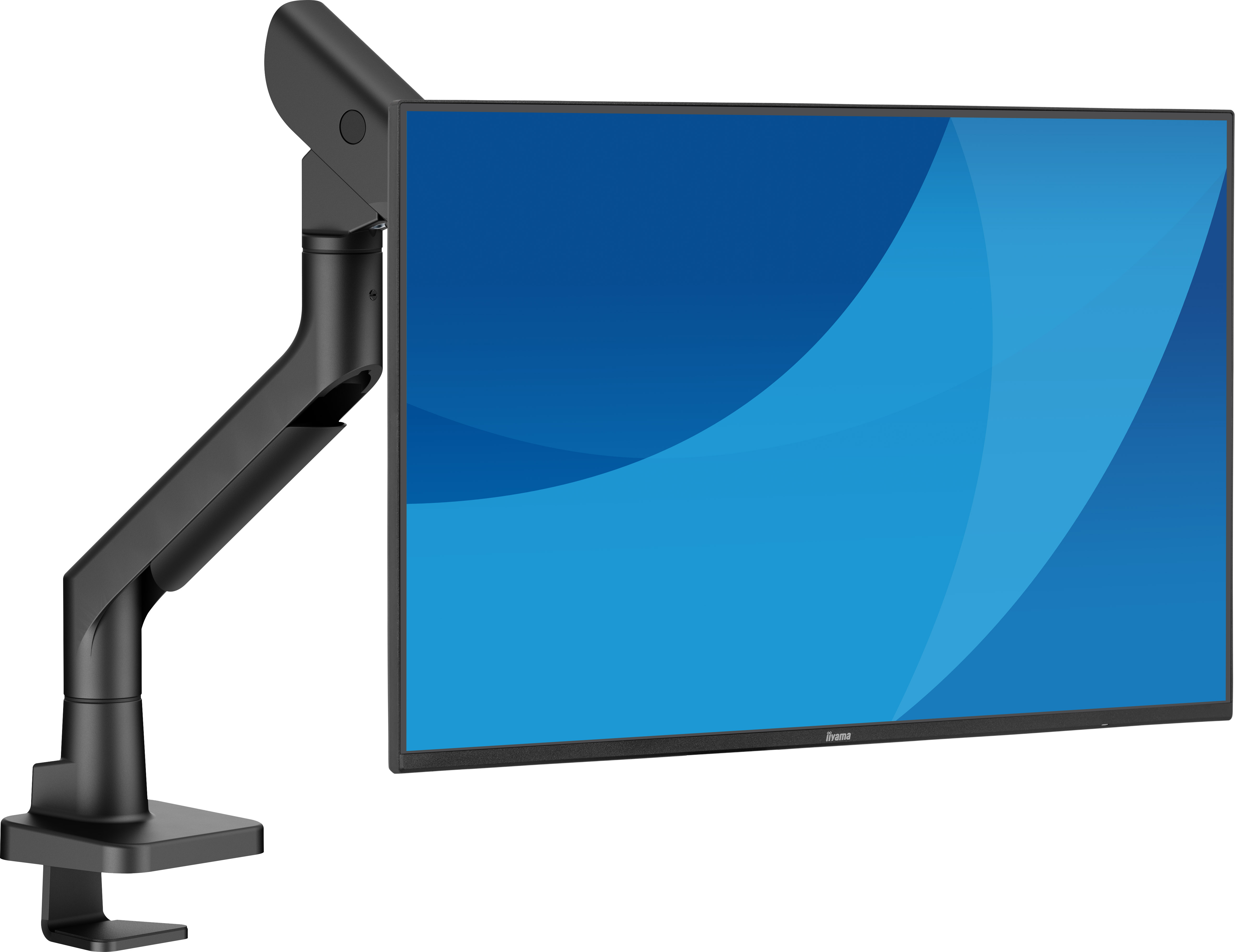 iiyama DS6001C-B1 Halterung für Monitore bis zu 124 cm (49")