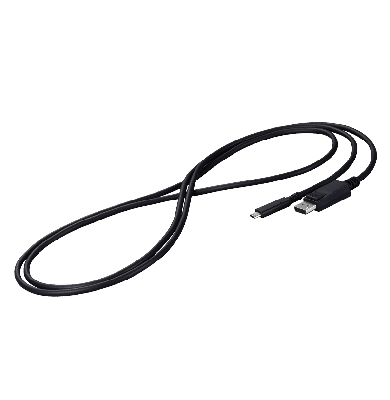 EIZO CP200-BK USB-C zu DisplayPort-Anschlusskabel