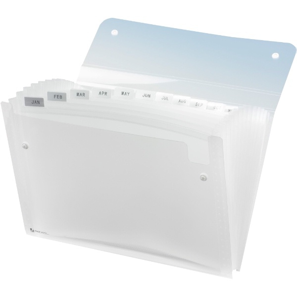 Rexel Fächermappe Ice A4 PP 13-teilig transparent