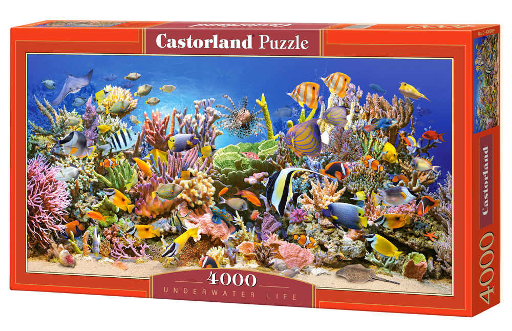 Castorland Unterwasserleben  4000 Teile Puzzle Castorland-400089
