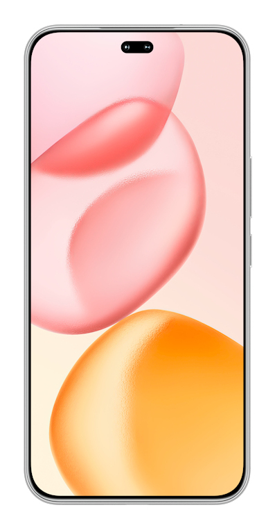Honor 400 Pro Lunar Grey - 5G Smartphone - Dual-SIM - RAM 12 GB / Interner Speicher 512 GB - OLED-Display - 6.7 - 1280 x 2800 Pixel 120 Hz (5109BUST)