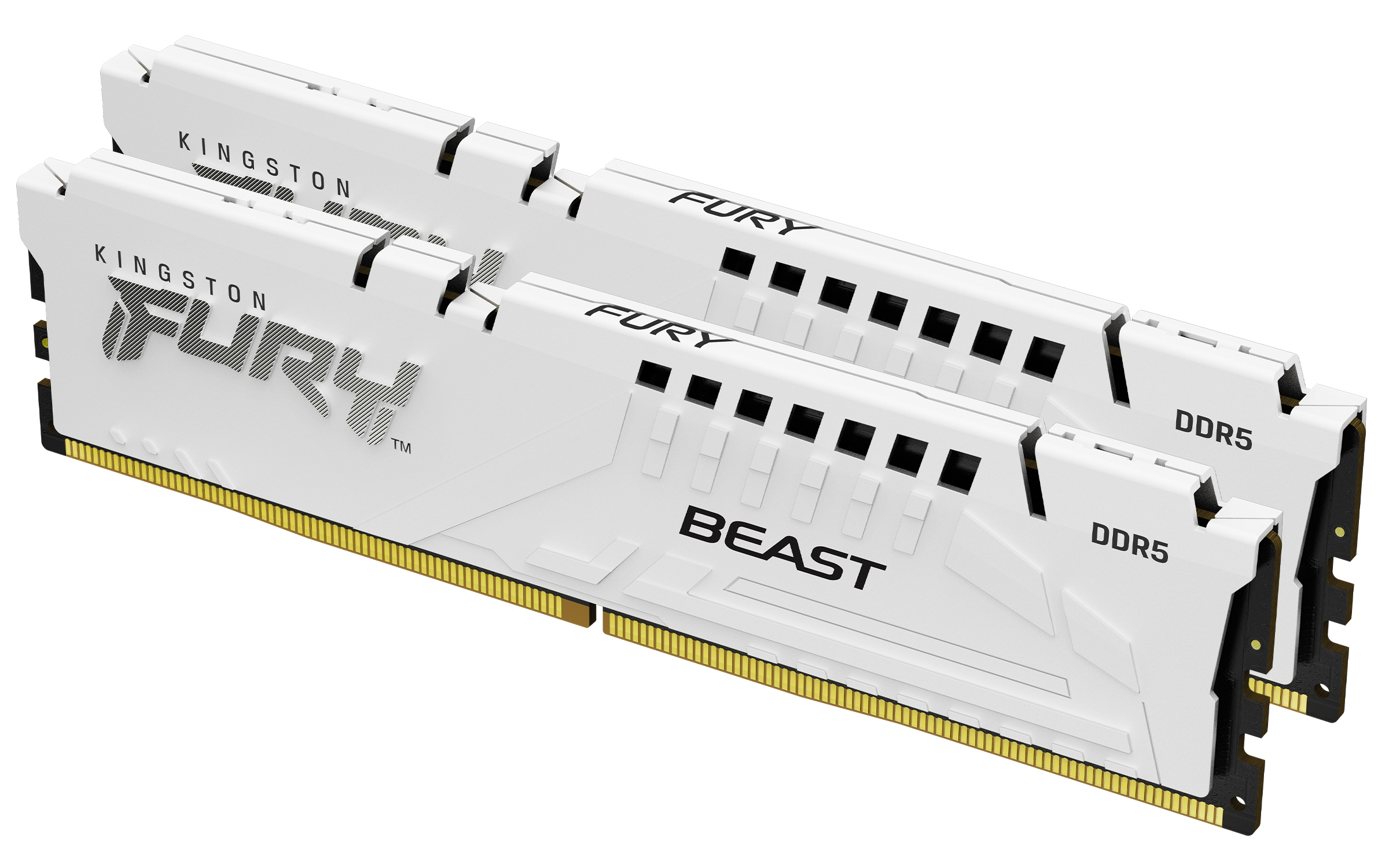 Kingston FURY™ Beast DDR5 Speicher 64GB 6000MT/s CL36 DIMM (2er-Kit) Weiß EXPO