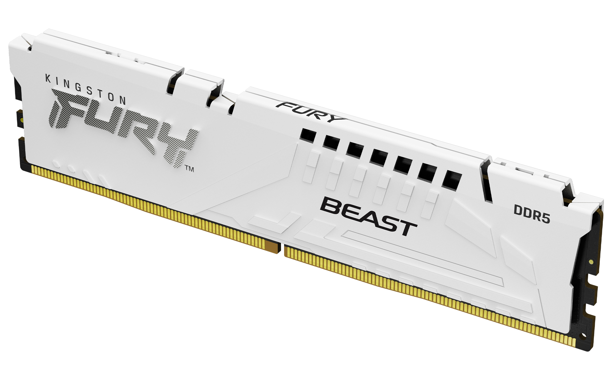 Kingston FURY™ Beast DDR5 Speicher 32GB 6000MT/s CL36 DIMM Weiß EXPO