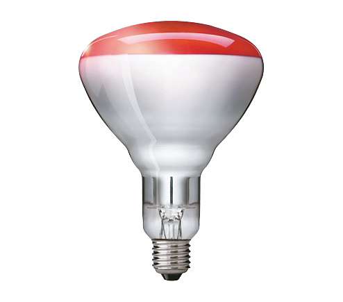 Hartglaslampe Philips 240V