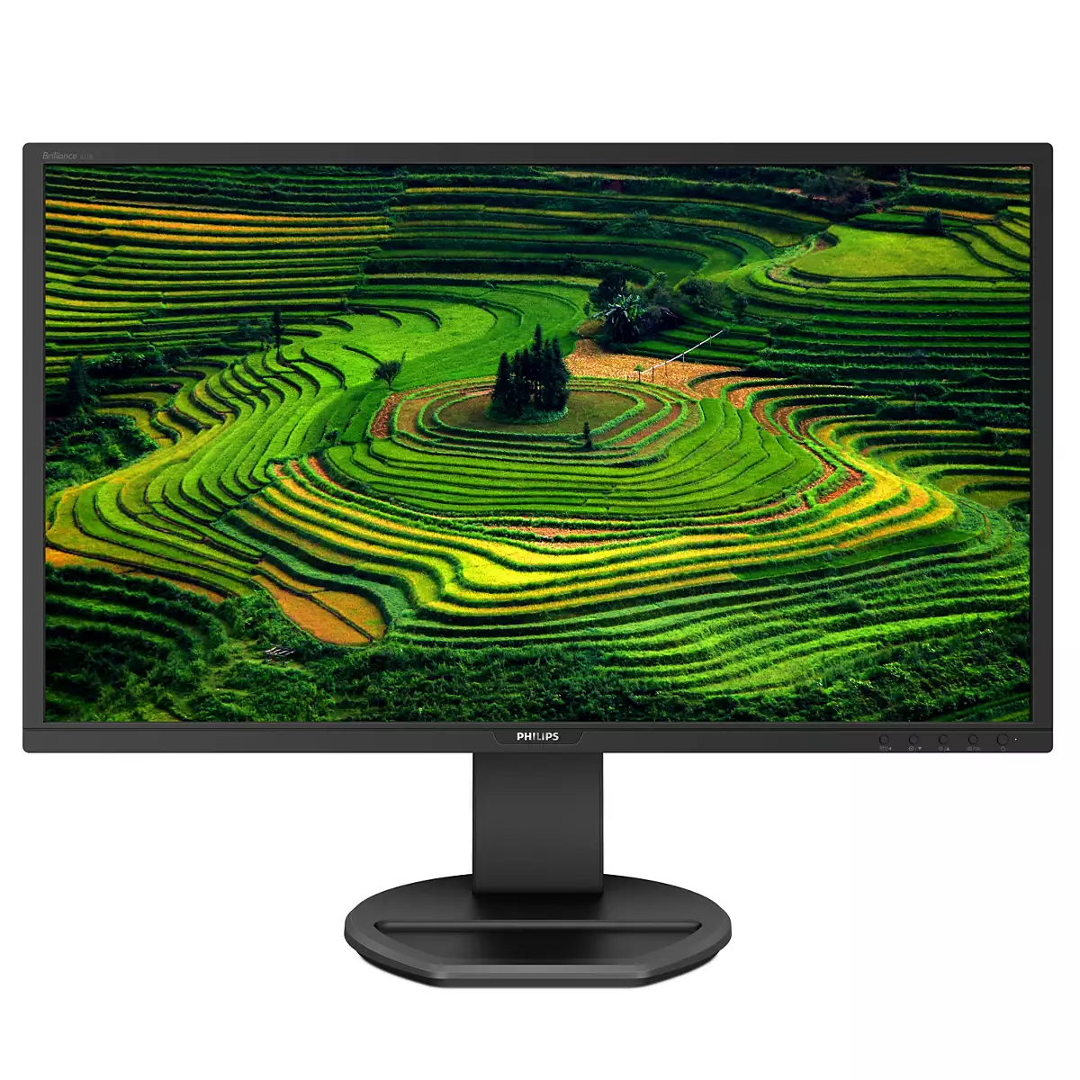 Philips Monitor B Line LCD-Monitor 21.5 [Energieklasse E] (221B8LHEB/00)