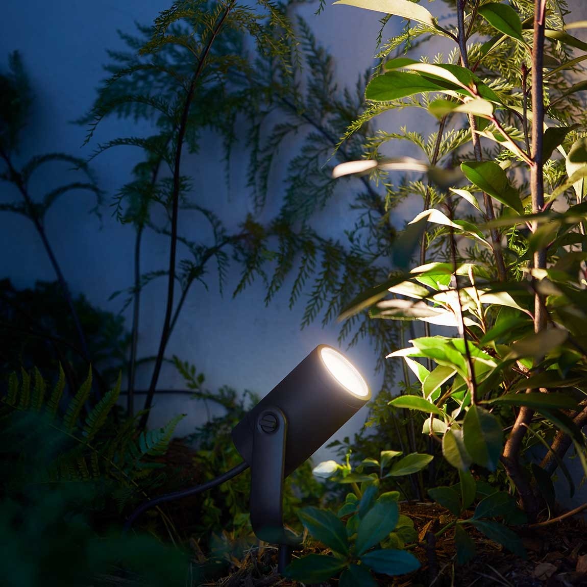 Philips Hue LED Spot Lily Basis Kit (3er-Set) + Philips Hue Outdoor Sensor