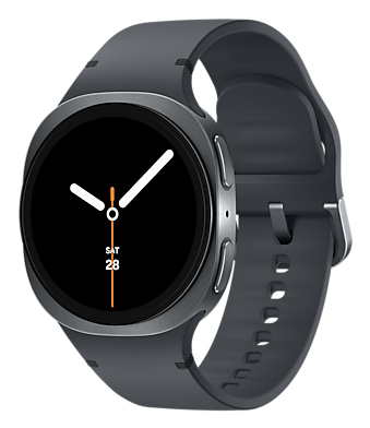 Samsung L320 GALAXY WATCH8 40MM BT GRAPHITE (SM-L320NDAAEUB) - Sonderposten