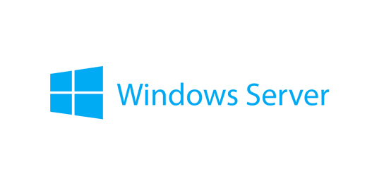 Lenovo Microsoft Windows Server 2025 Essentials Lizenz, 10 Kerne, Reseller Option Kit